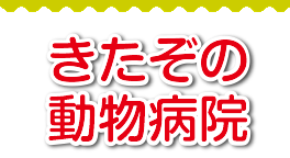 きたぞの動物病院 | 練馬区 | 大泉学園駅 | 犬・猫・うさぎ・ハムスター・その他小動物